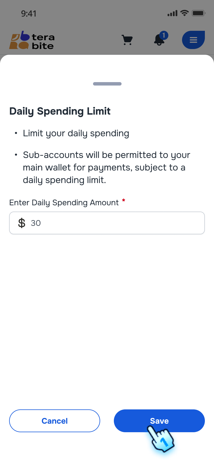 Enter the Daily Spending Amount